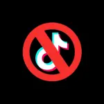 How Business Owners Can Safeguard Against Platform-Specific Risks Like the TikTok Ban