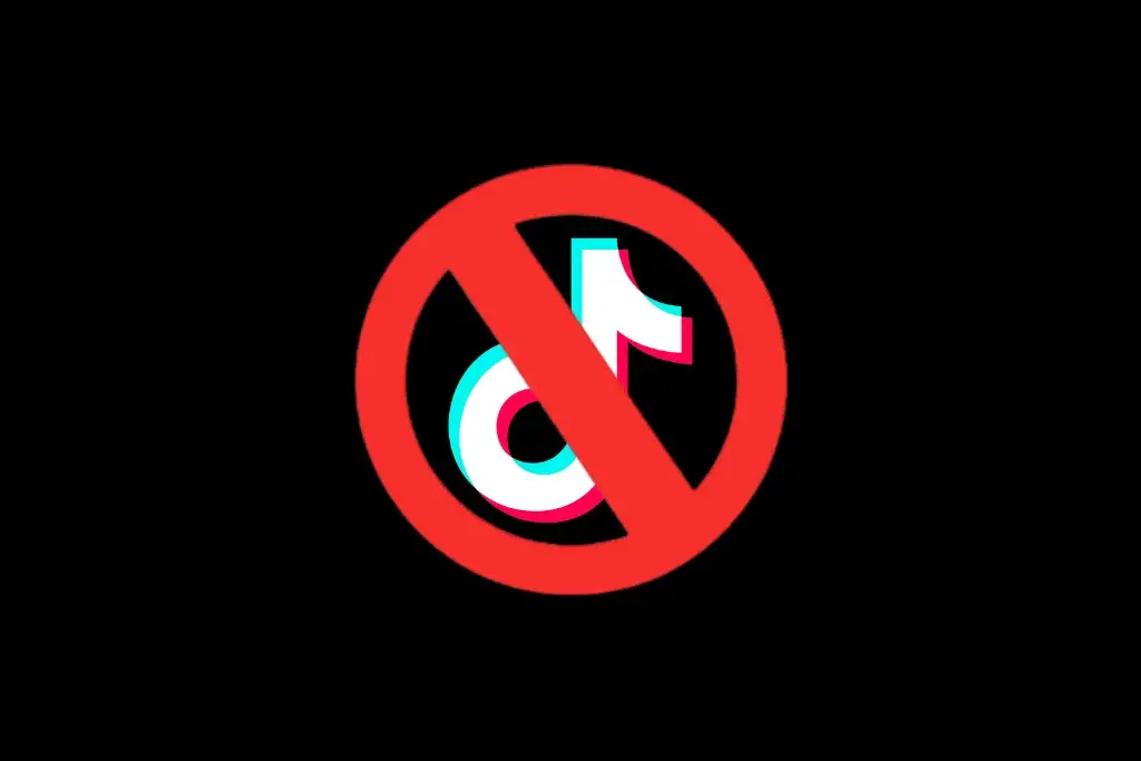 How Business Owners Can Safeguard Against Platform-Specific Risks Like the TikTok Ban